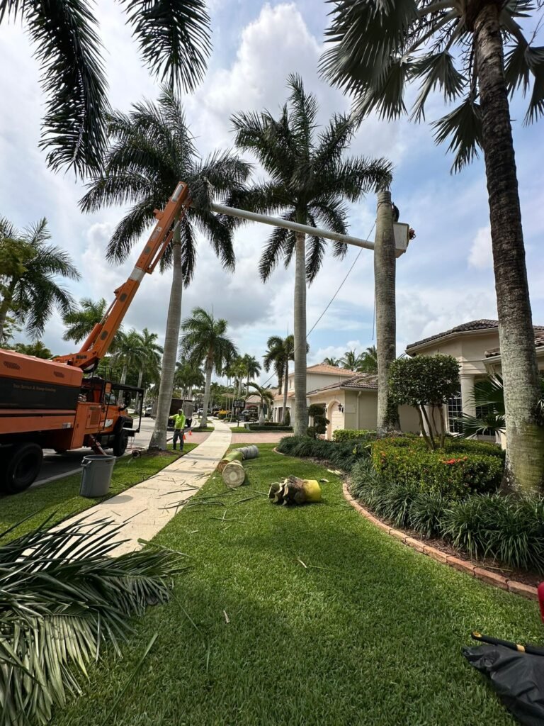 Perfect Trees Services Corp 3