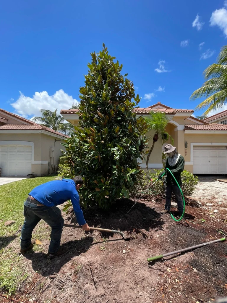 Perfect Tree Service Corp 2025 (3)
