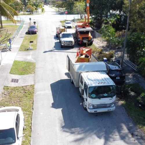 Perfect Trees Services Corp. 2026 (1)