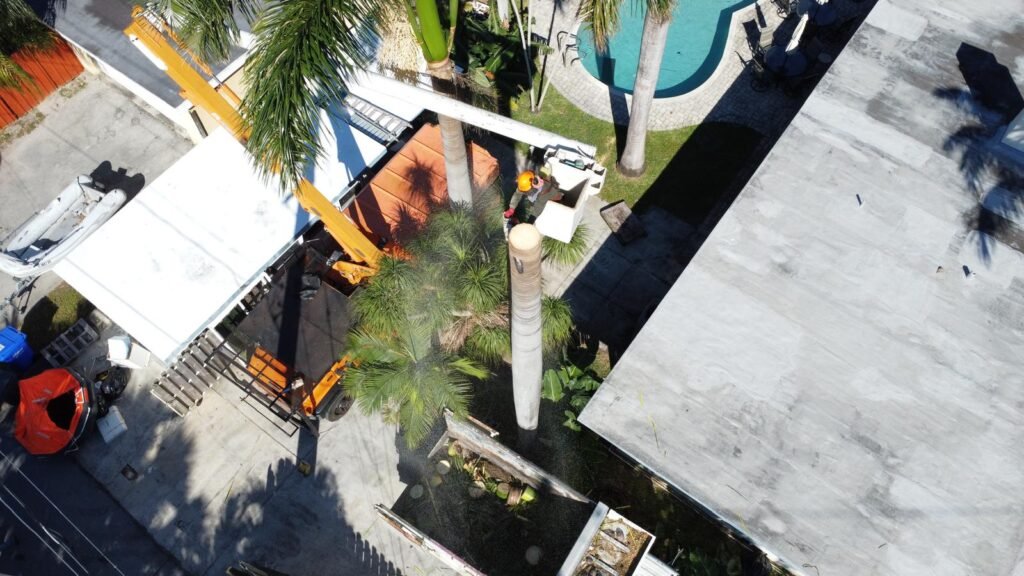 Perfect Trees Services Corp. 2026 (21)