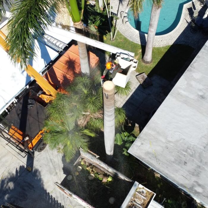 Perfect Trees Services Corp. 2026 (21)