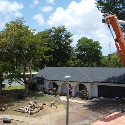 Perfect Trees Services Corp. 2026 (3)