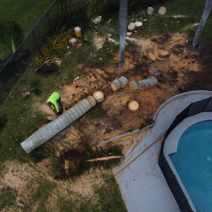 Perfect Trees Services Corp. 2026 (4)