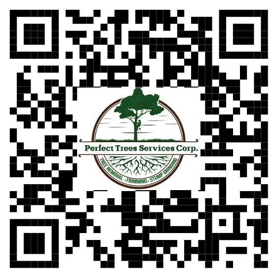 QR Perfect Tree Services