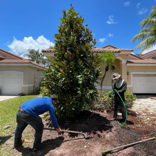 Perfect Tree Service Corp 2025 (3)